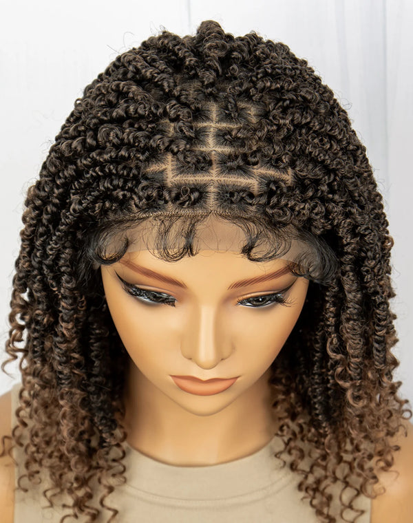 Synthetic Lace Front Twist Spring Wig with Baby Hair for Black Women